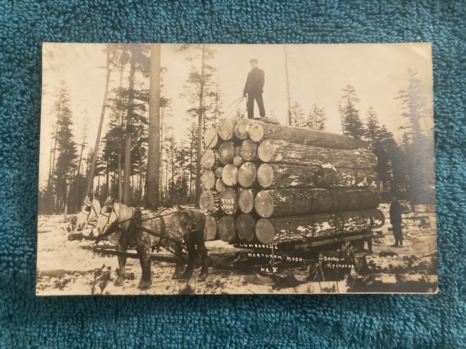 RPPC Northern Michigan Elk Rapids Logging on Sled Posted 1908 Beebe Photo RPPC Northern Michigan Elk Rapids Logging on Sled Posted 1908 Beebe Photo