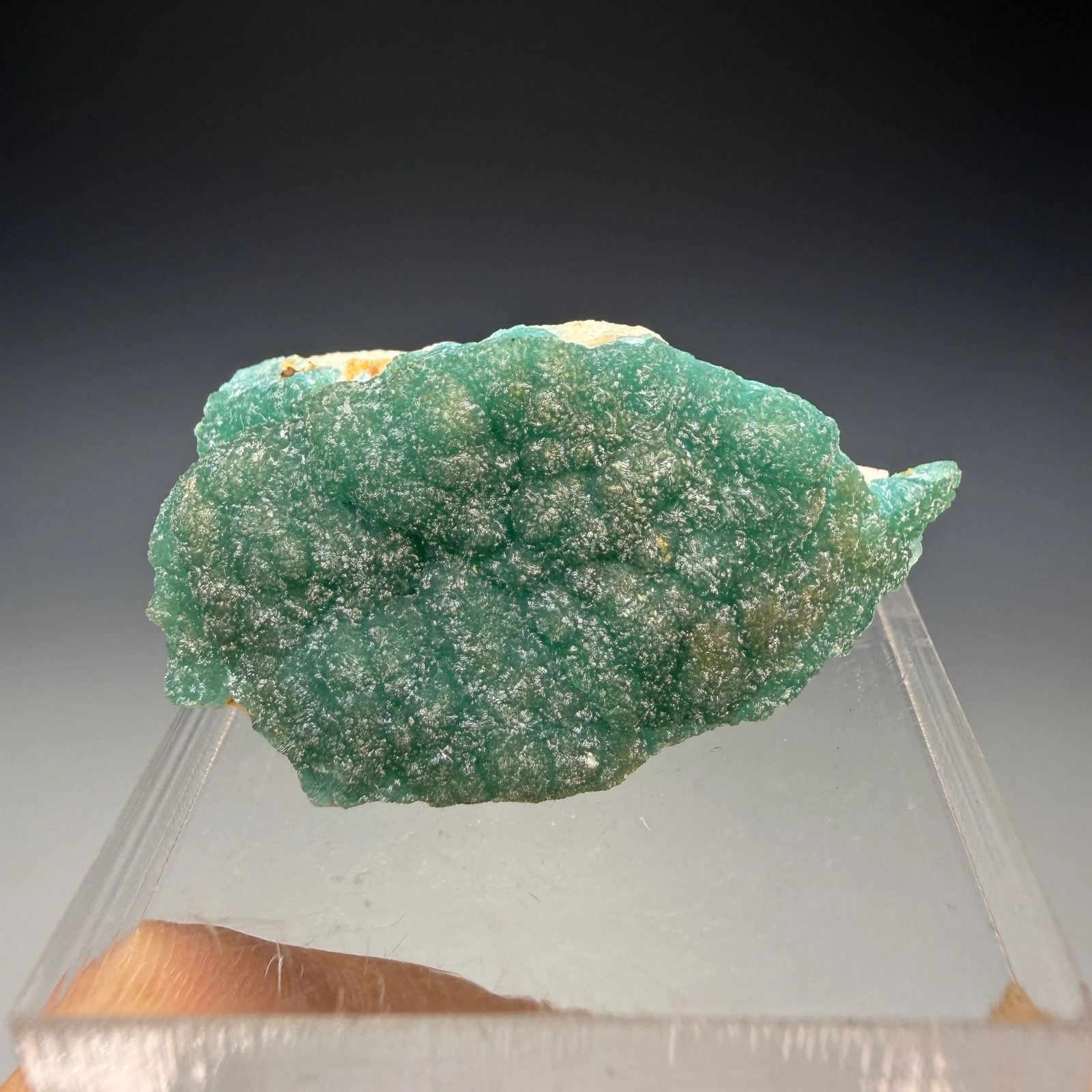 Cuprian Adamite, Hilarion Mine, Lavrion Dist., Attica, Greece Cuprian Adamite, Hilarion Mine, Lavrion Dist., Attica, Greece