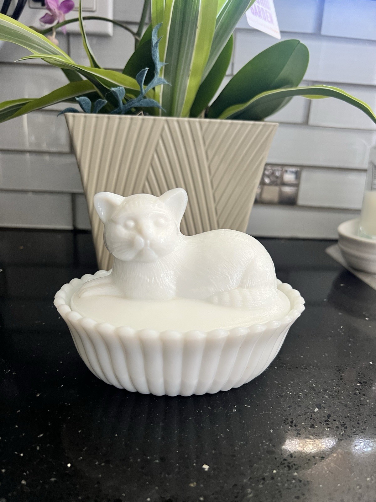 Beautiful Vintage Westmoreland White Milk Glass Cat on a Ribbed Base Beautiful Vintage Westmoreland White Milk Glass Cat on a Ribbed Base