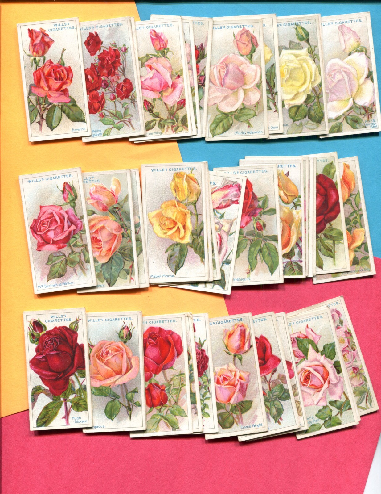 1926 W. D. & H. O. WILLS LTD. ROSES 50 DIFFERENT TOBACCO CARD SET 1926 W. D. & H. O. WILLS LTD. ROSES 50 DIFFERENT TOBACCO CARD SET
