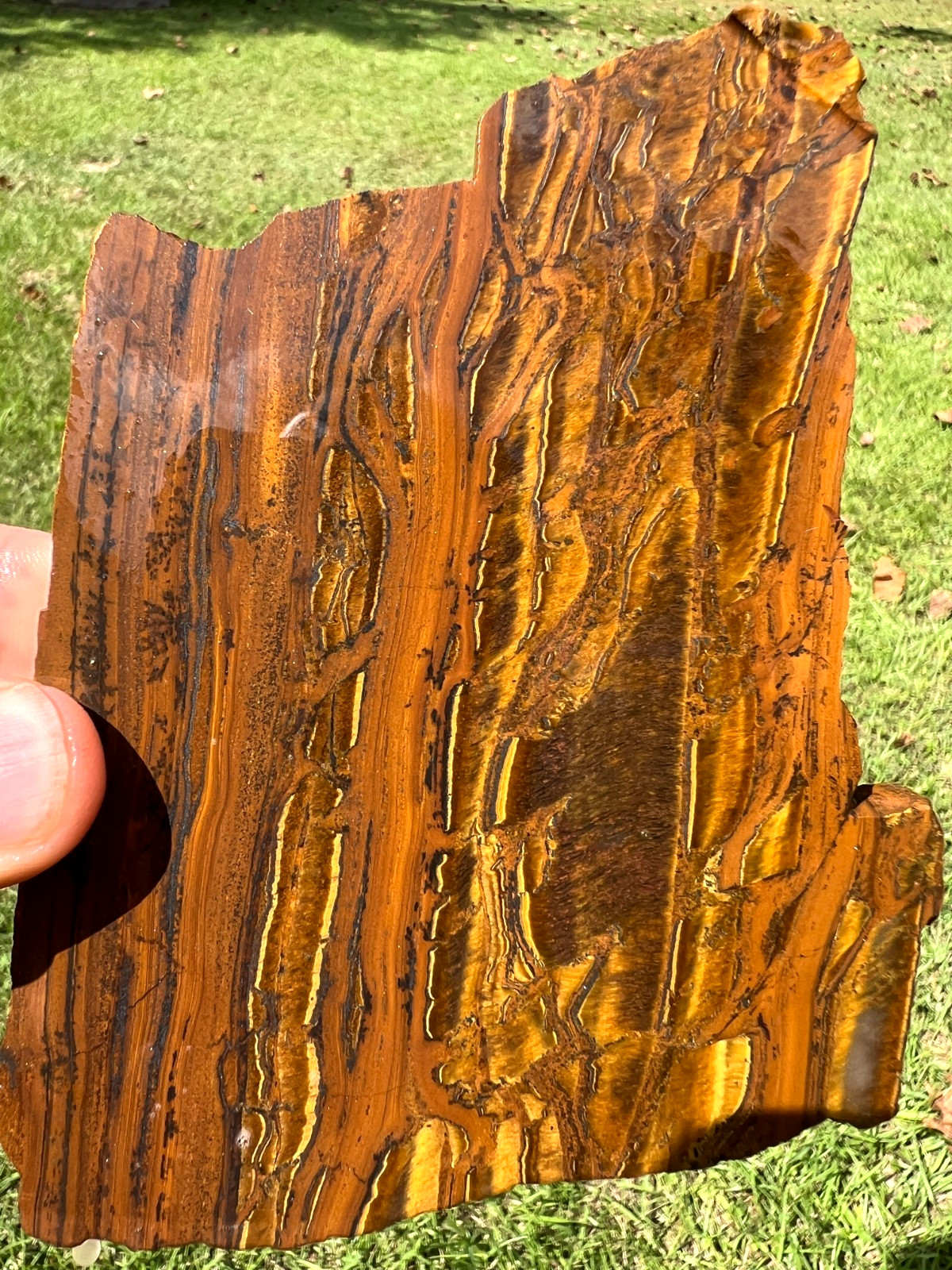 Very Cool Australian Tiger Iron Slab - 222g Very Cool Australian Tiger Iron Slab - 222g