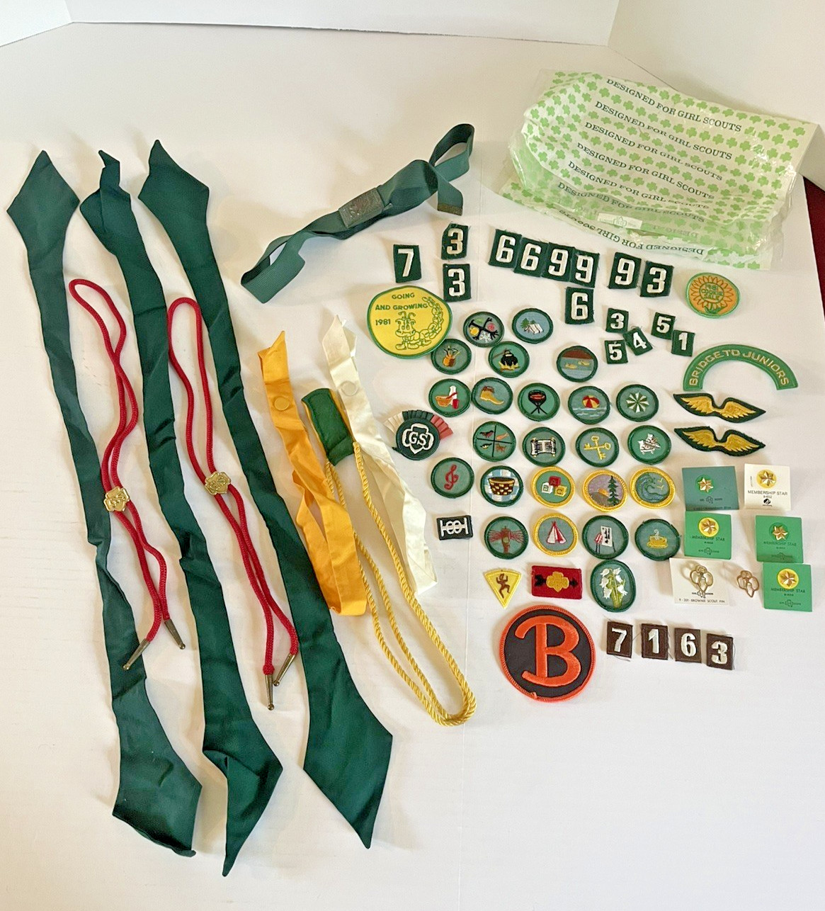 Vintage 1970s-1980s Girl Scout Lot patches, badges, pins, ties, belt & bolo Vintage 1970s-1980s Girl Scout Lot patches, badges, pins, ties, belt & bolo
