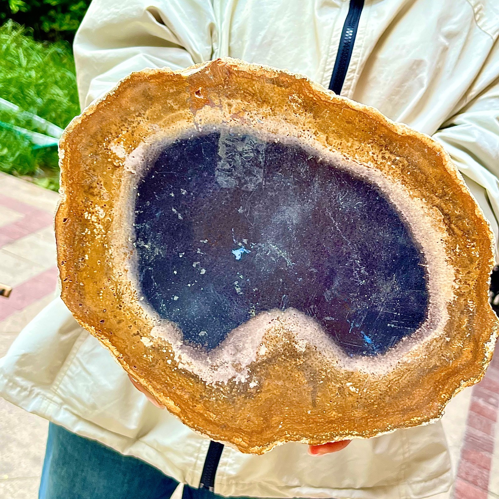 3.26LB  Beautiful and stunning wooden fossil specimens
