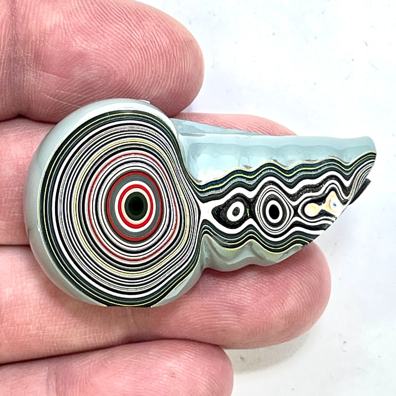 DVH Genuine Michigan Fordite Specimen Polished Face Chv Frd Jp (6333)