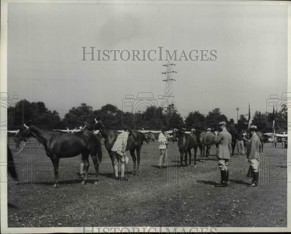 1937 Press Photo Polo pony show at Meadow Brook Club in NY - net23875