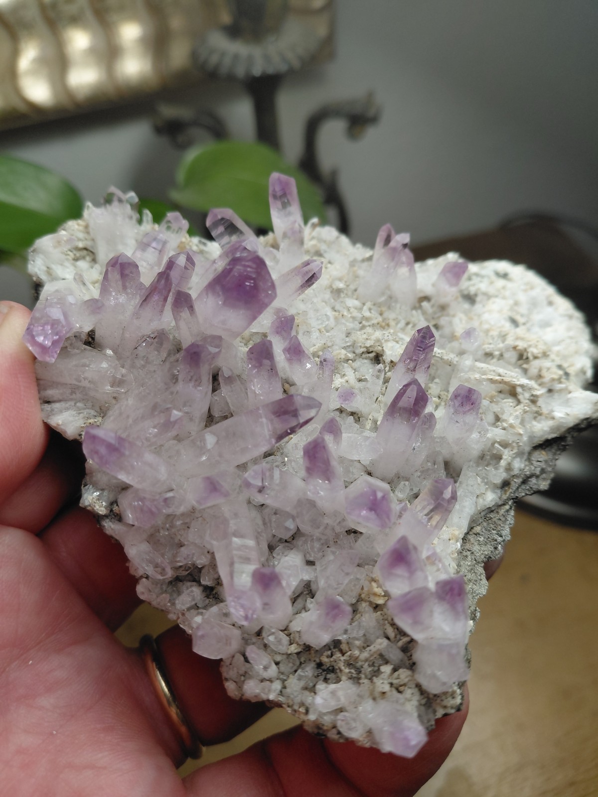 Veracruz Amethyst Crystal Cluster Plate Vera Cruz Crystals #E8292 Veracruz Amethyst Crystal Cluster Plate Vera Cruz Crystals #E8292