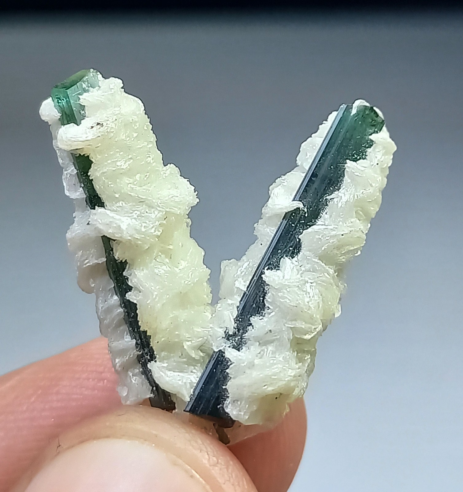 Fresh from Mine Mesmerizing V shape Indicolite Tourmaline Crystals:15CRT Fresh from Mine Mesmerizing V shape Indicolite Tourmaline Crystals:15CRT