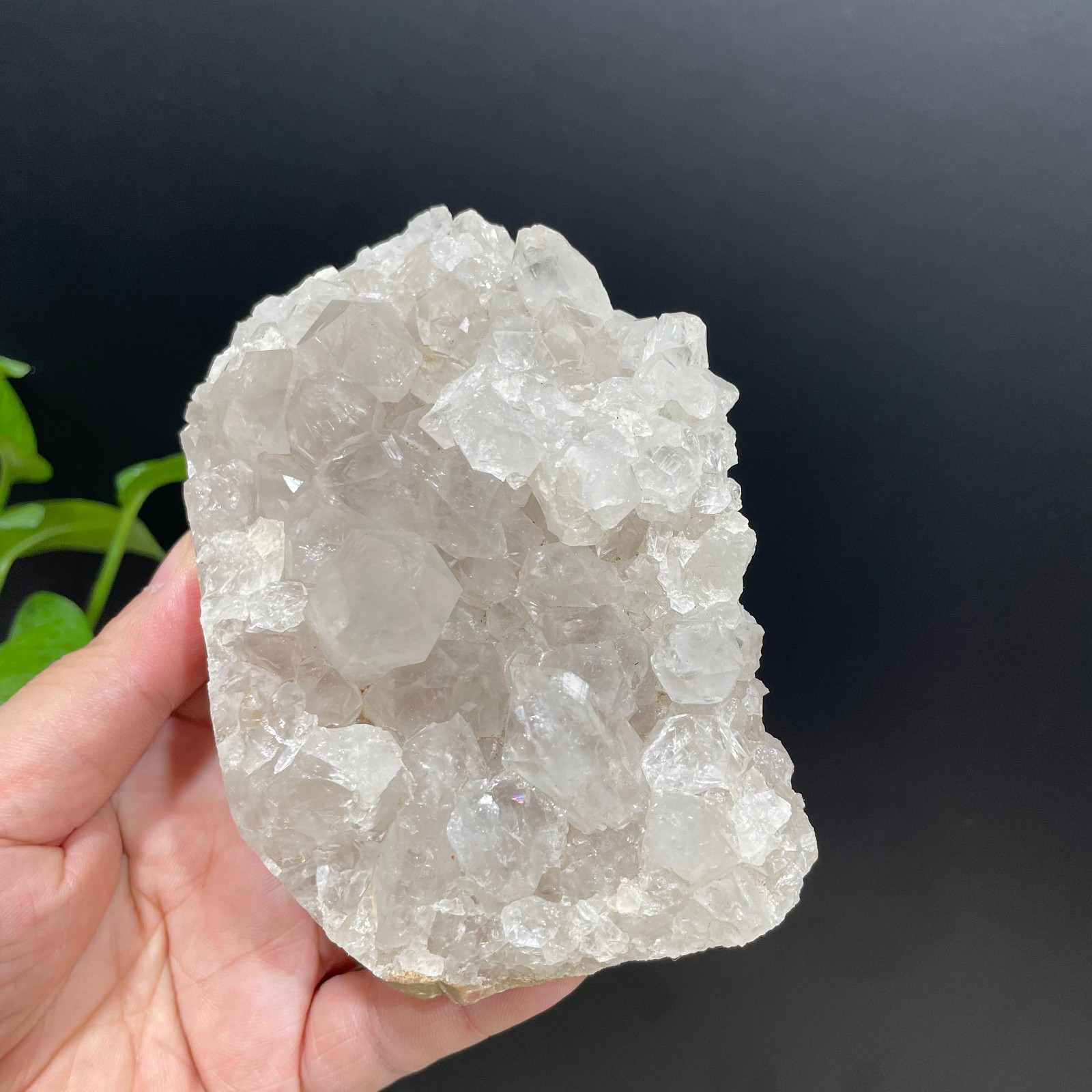 ALL 1.3LB Nature Clear Quartz Crystal Cluster Specimen Healing Mineral D16