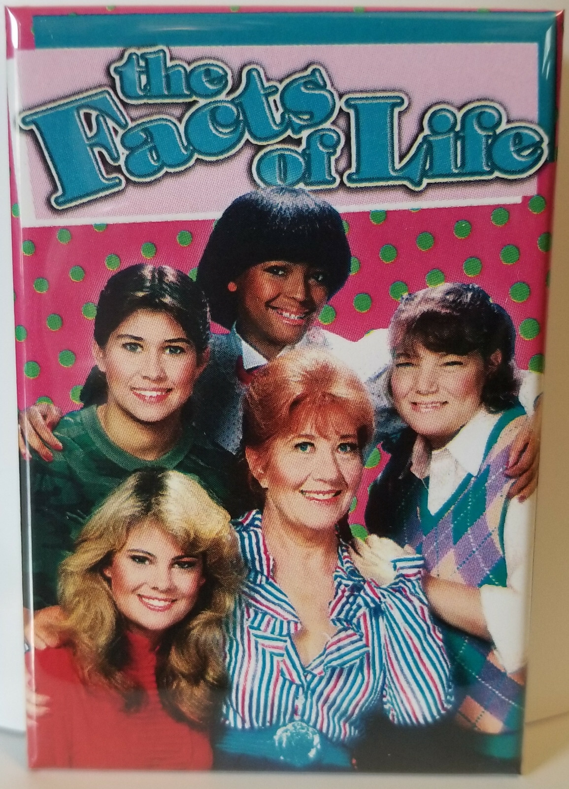 Facts of Life 2\