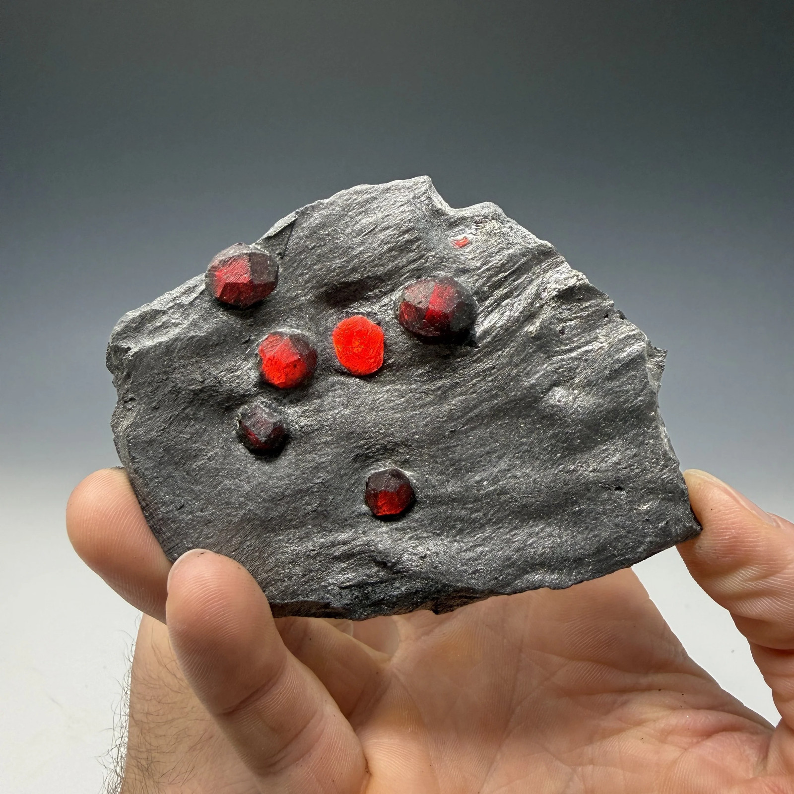 Almandine Garnet, Graphite Schist, Red Embers Mine, Erving, Franklin County Almandine Garnet, Graphite Schist, Red Embers Mine, Erving, Franklin County