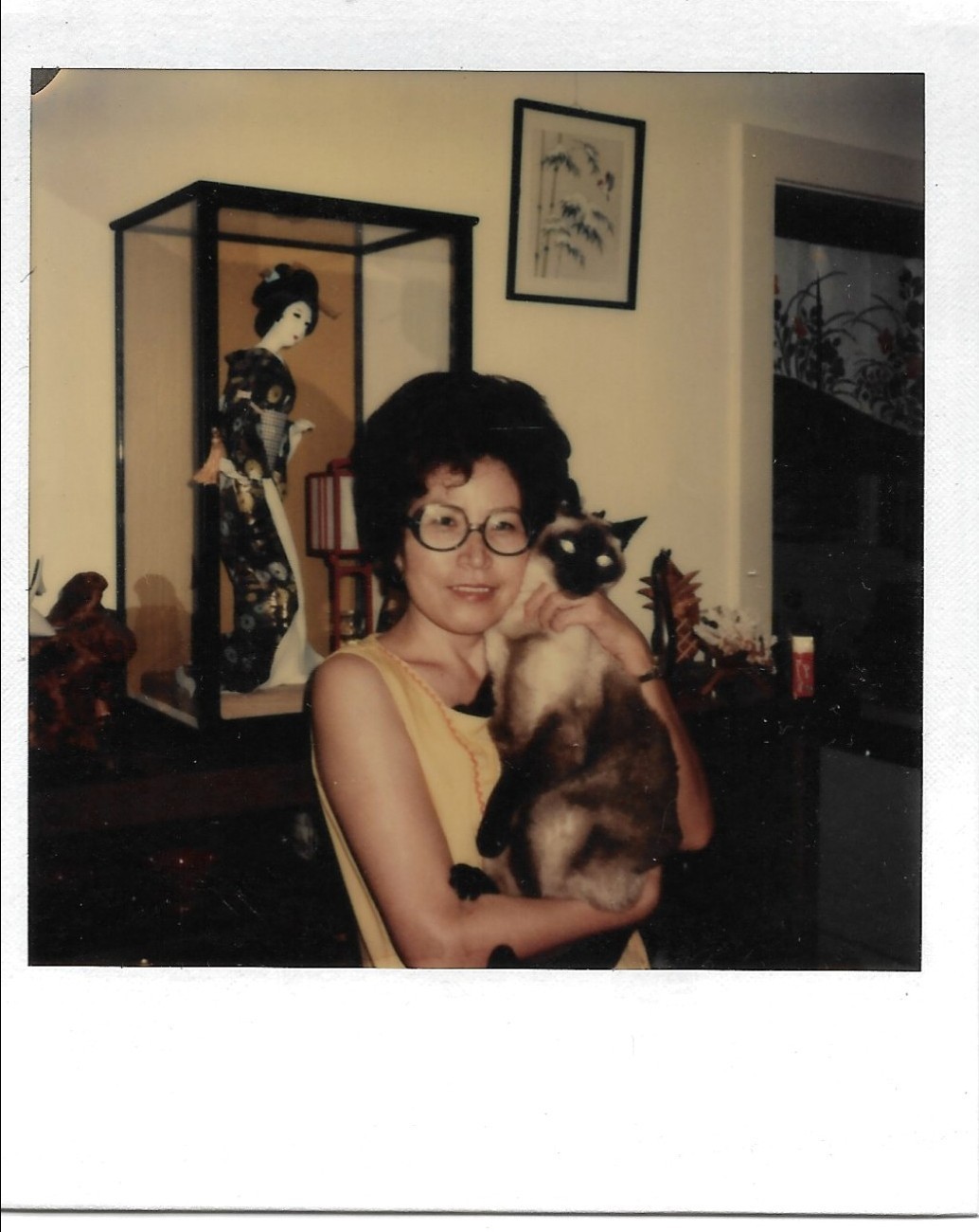 Vintage instant color Polaroid photo Asian woman holding Siamese cat Vintage instant color Polaroid photo Asian woman holding Siamese cat