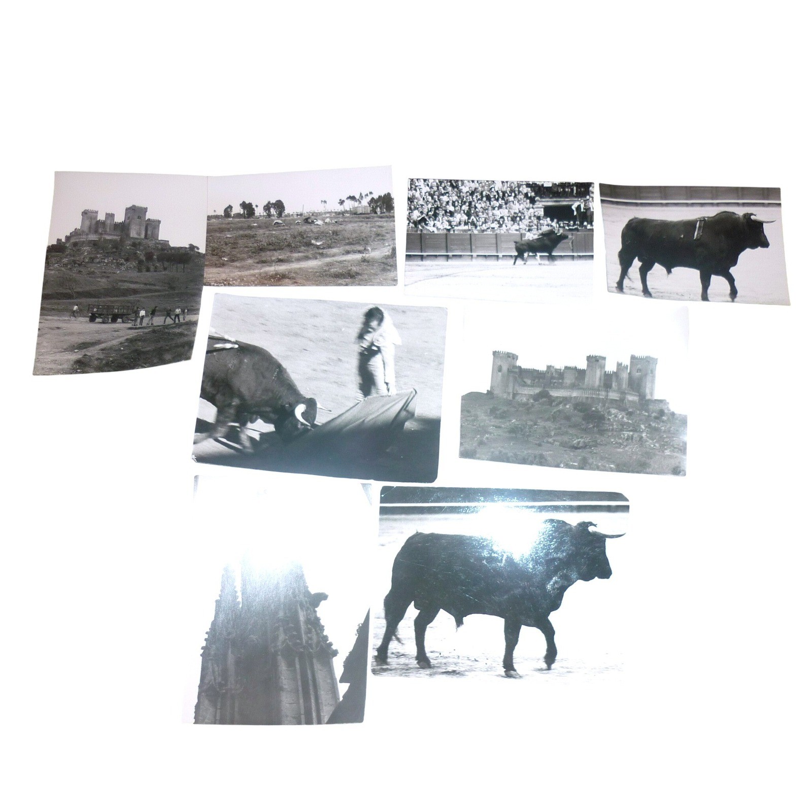 Lot 8 Vintage 1971 Seville Spain Photos Bullfight Matador Castle Las Aguzaderas Lot 8 Vintage 1971 Seville Spain Photos Bullfight Matador Castle Las Aguzaderas