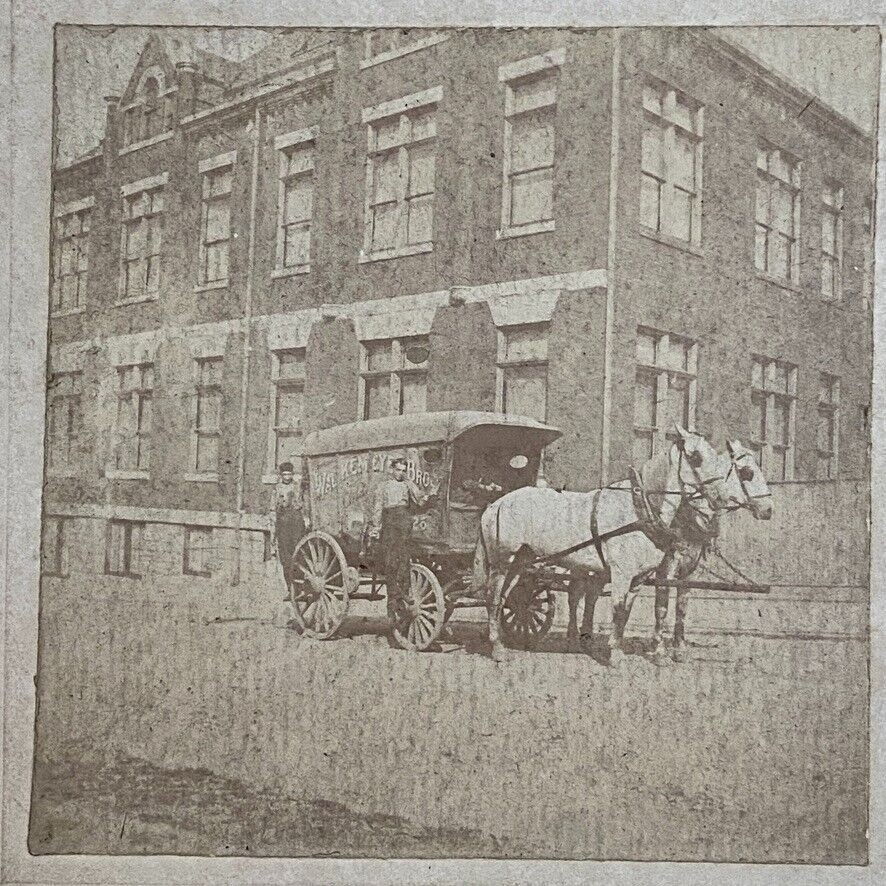 19th Century Cabinet Card Photo Horse Drawn Carriage for Walkemeyer Bros 19th Century Cabinet Card Photo Horse Drawn Carriage for Walkemeyer Bros