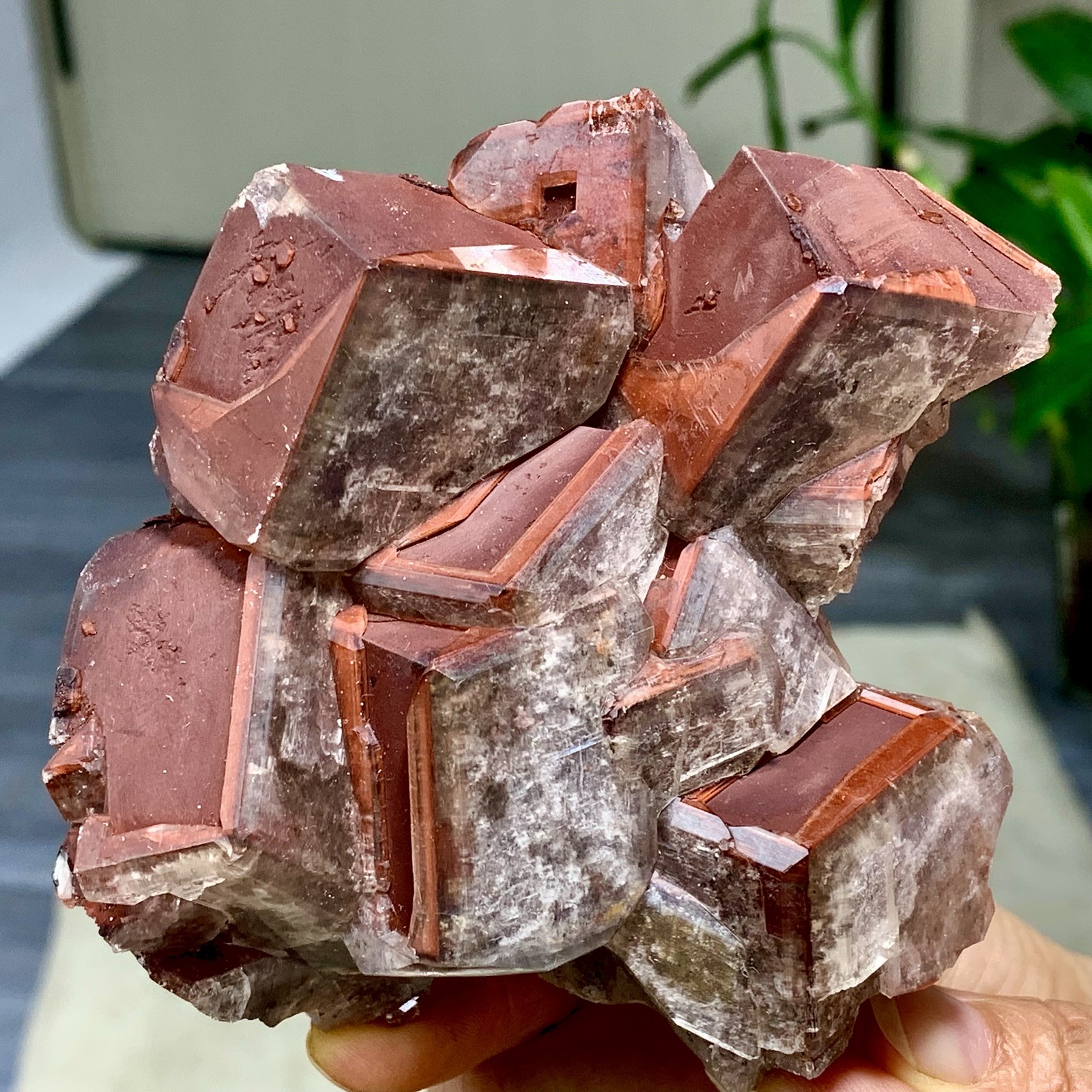 415G Rare Natural Chocolate Calcite Specimen cluster rough mineral sample 415G Rare Natural Chocolate Calcite Specimen cluster rough mineral sample