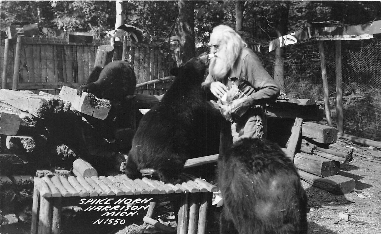 H32/ Harrison Michigan RPPC Postcard c40s Spikehorn Black Bear Den 4