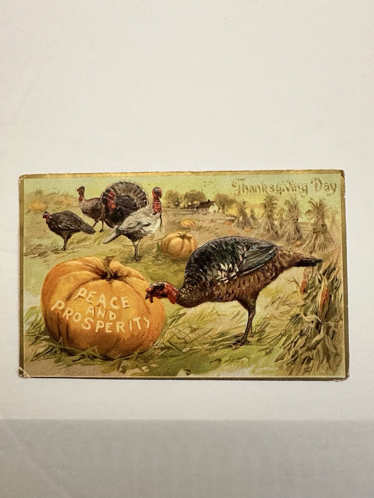 Embossed Thanksgiving Turkey Pumpkin Postcard 1909 Embossed Thanksgiving Turkey Pumpkin Postcard 1909