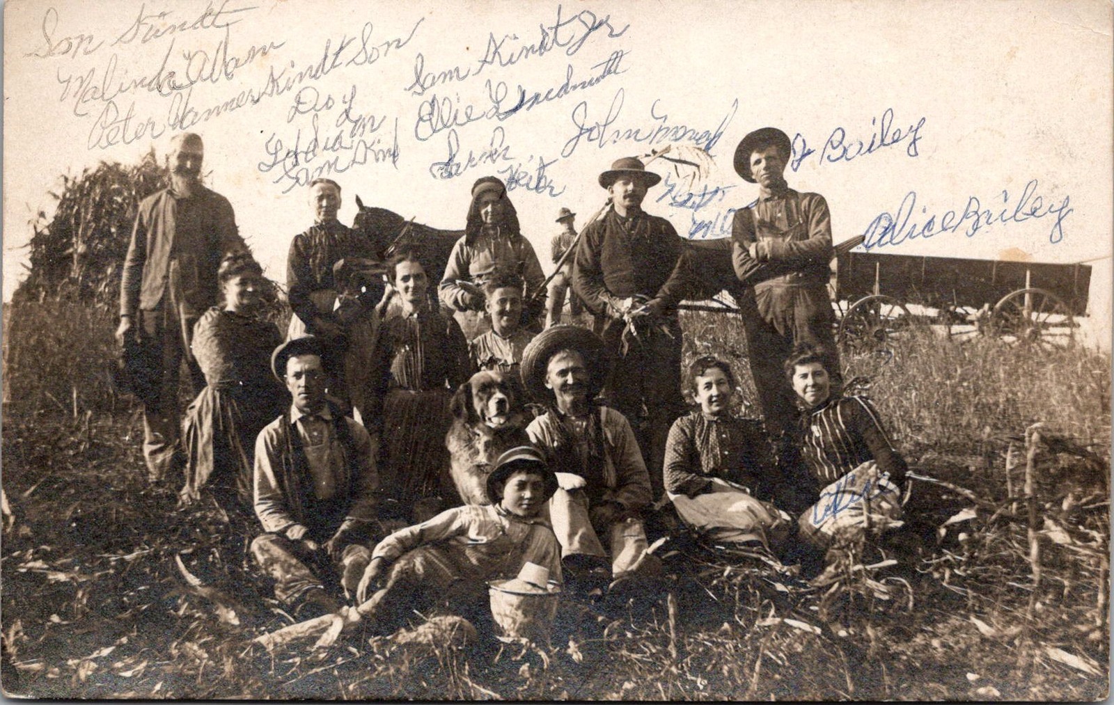 RPPC Farm Group with Dog and Wagon Vintage Postcard 4P24-23