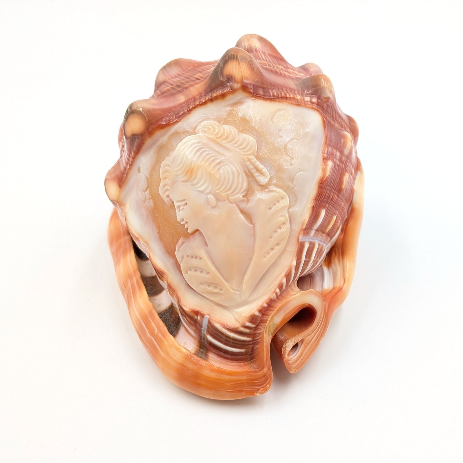 Vintage Italian Conch Shell Hand Carved Cameo Woman