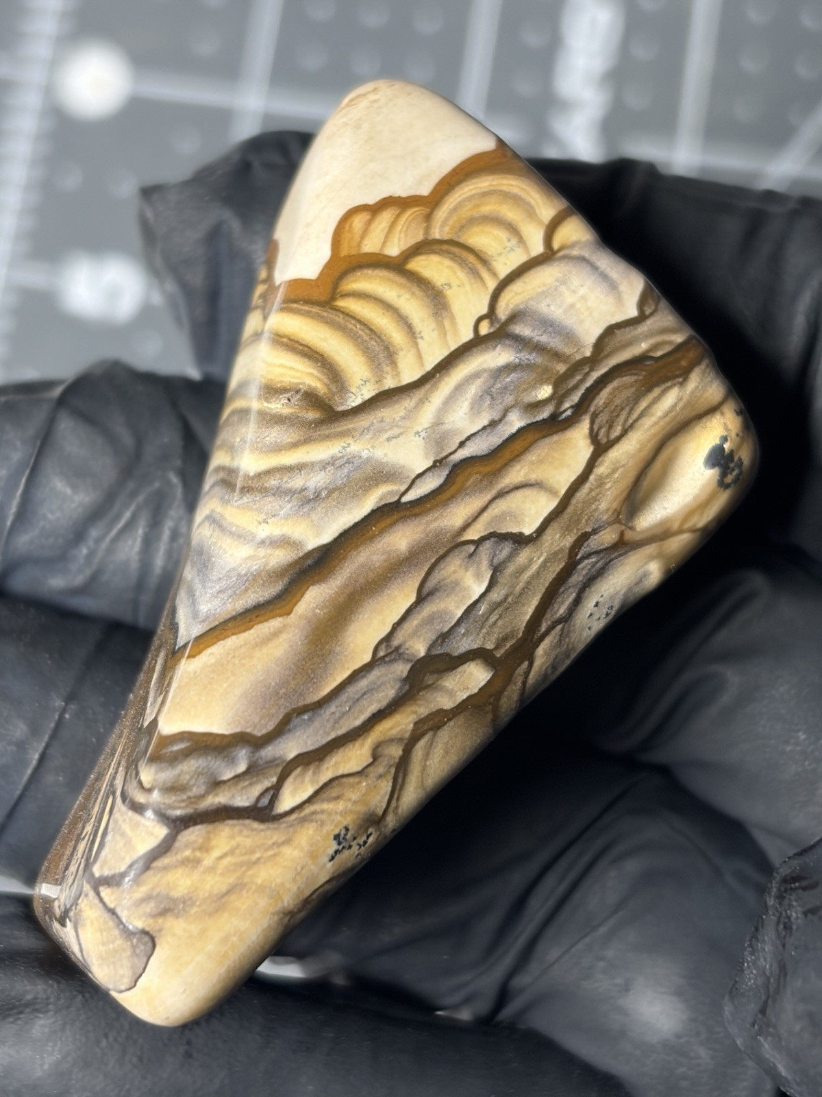 Rare Blue Biggs Picture Jasper Polished Specimen Oregon Scenic Patterns Rare Blue Biggs Picture Jasper Polished Specimen Oregon Scenic Patterns