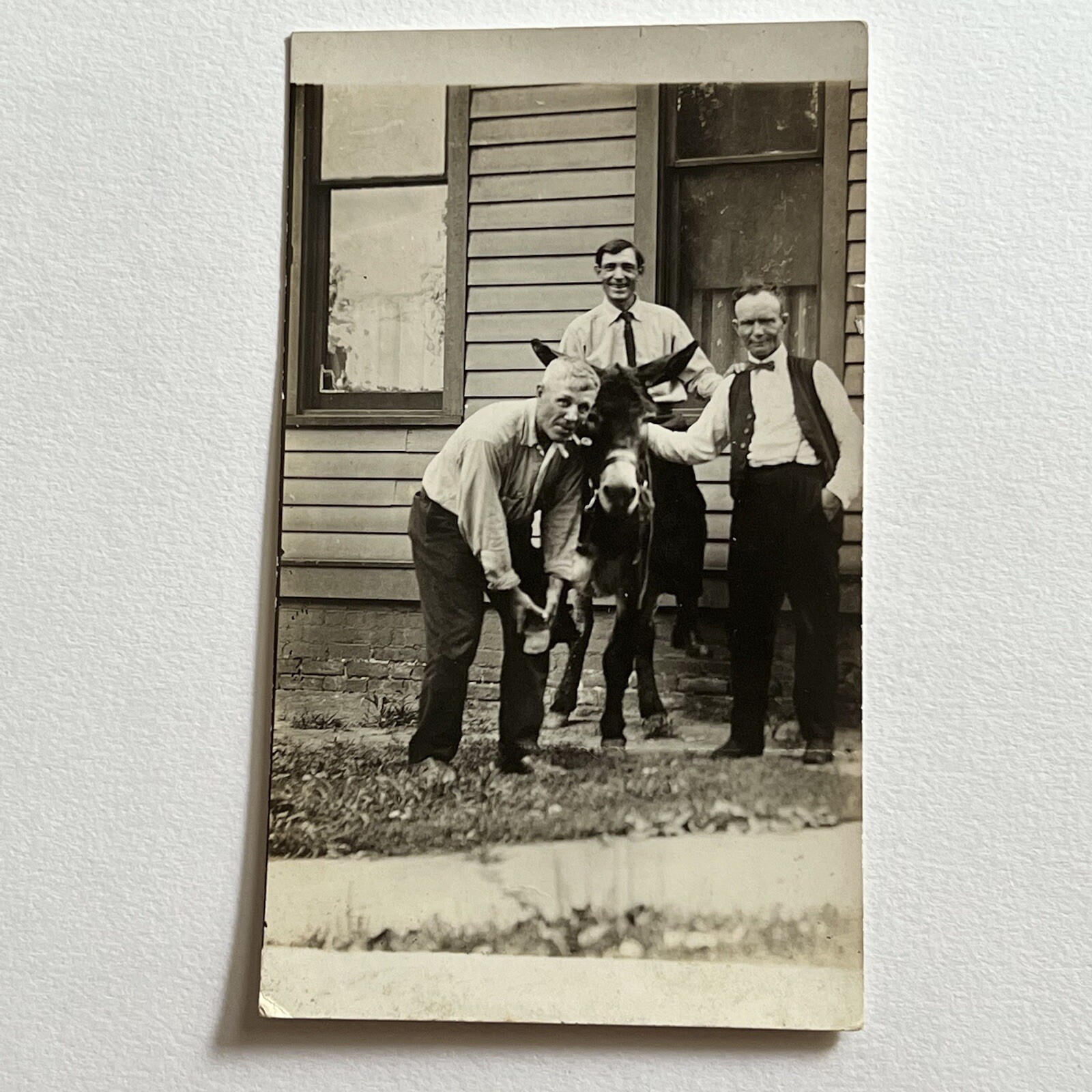 Antique RPPC Real Photograph Postcard Group Men Mule Donkey Lifting Hoof Antique RPPC Real Photograph Postcard Group Men Mule Donkey Lifting Hoof