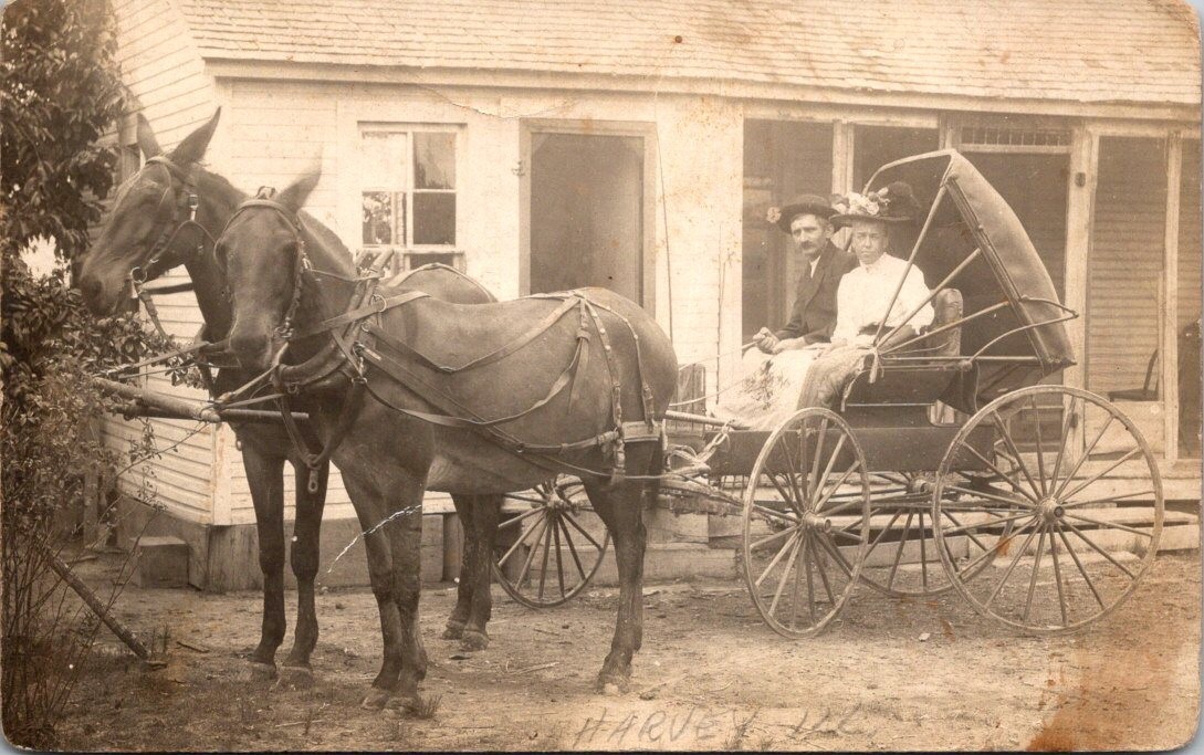 Antique RPPC Postcard Harvey Illinois 1918 Couple in Horse Drawn Buggy Mule Team