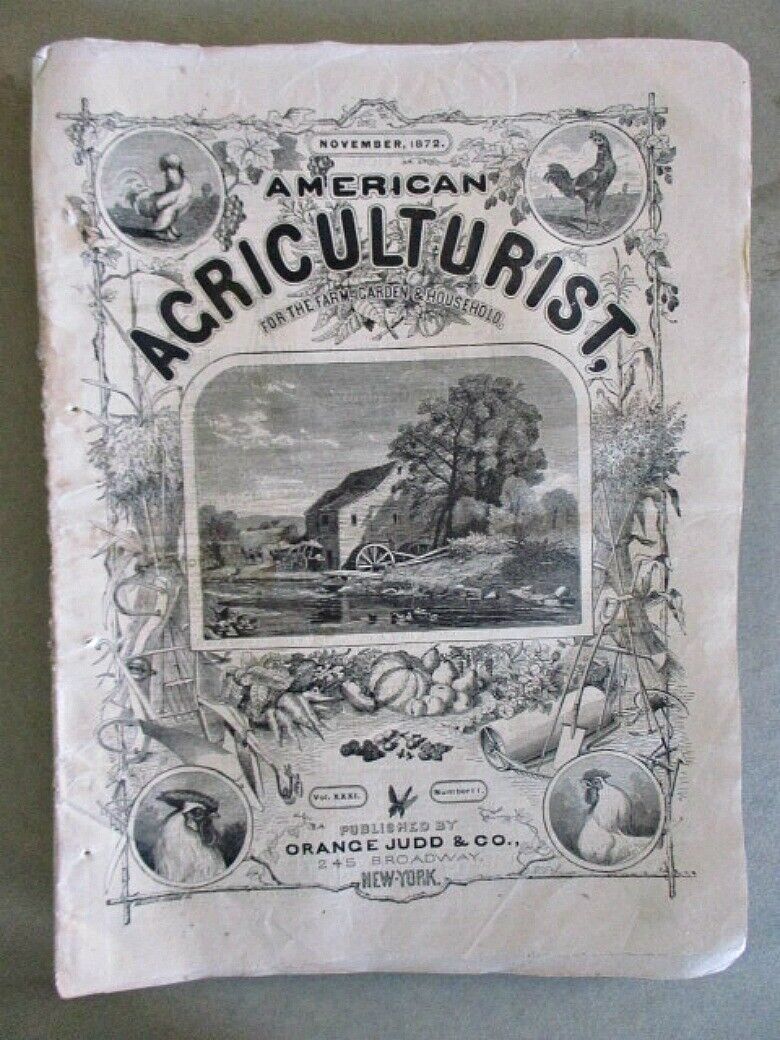 Vintage AMERICAN AGRICULTURIST, November 1872, Monthly Newspaper,Illustrated