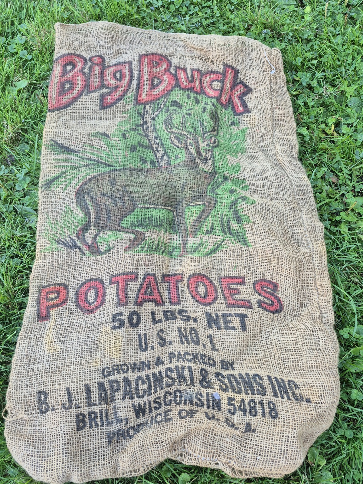 VINTAGE BIG BUCK POTATO SACK BRILL,WISCONSIN 50 LBS SACK