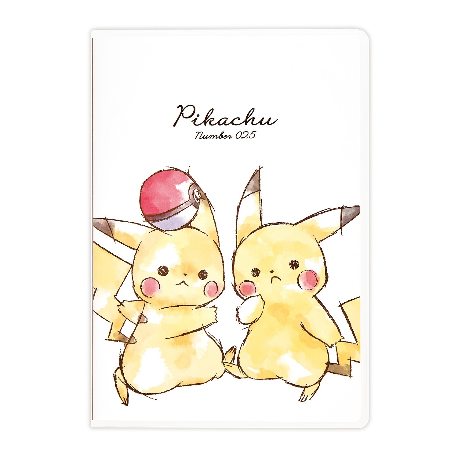 PC451 Pokemon Center B6 monthly Pikachu Two Good Friends Japan PC451 Pokemon Center B6 monthly Pikachu Two Good Friends Japan