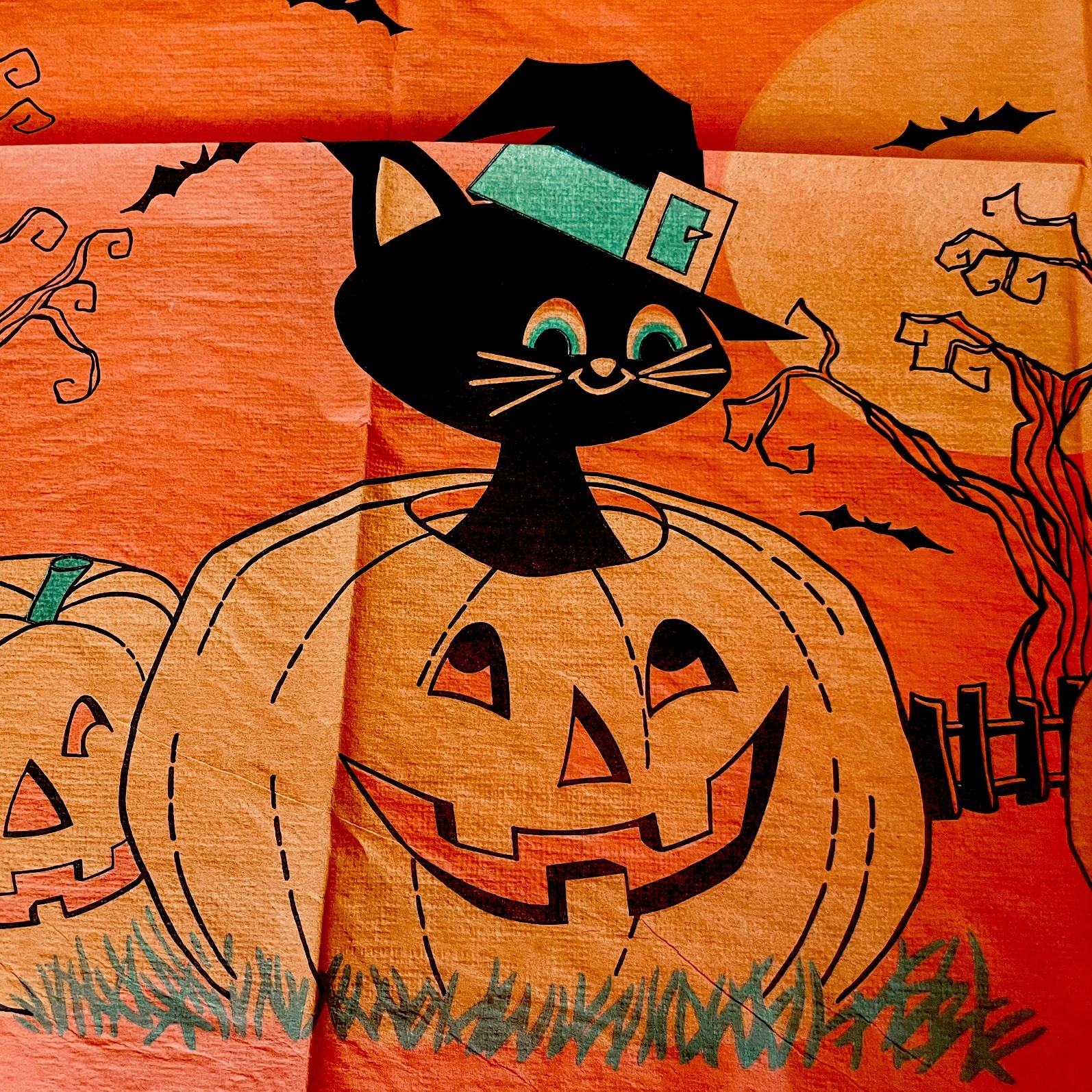 1 Vintage Reed Witch Halloween Crepe Paper Banner 7 ft long 26” wide NOS  