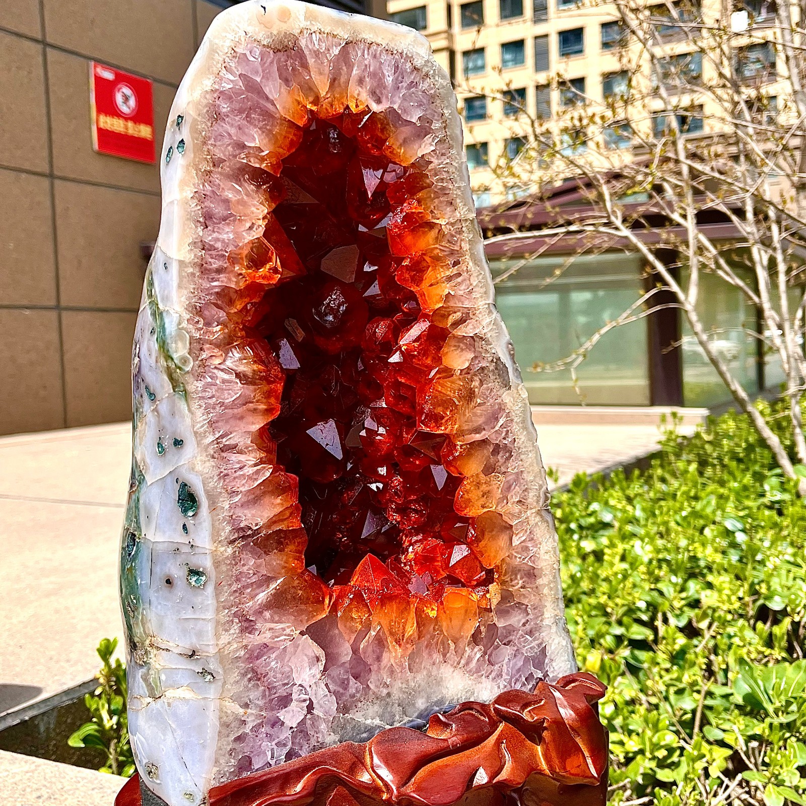 27.91LB Natural yellow crystal cave quartz crystal spiritual decoration 27.91LB Natural yellow crystal cave quartz crystal spiritual decoration