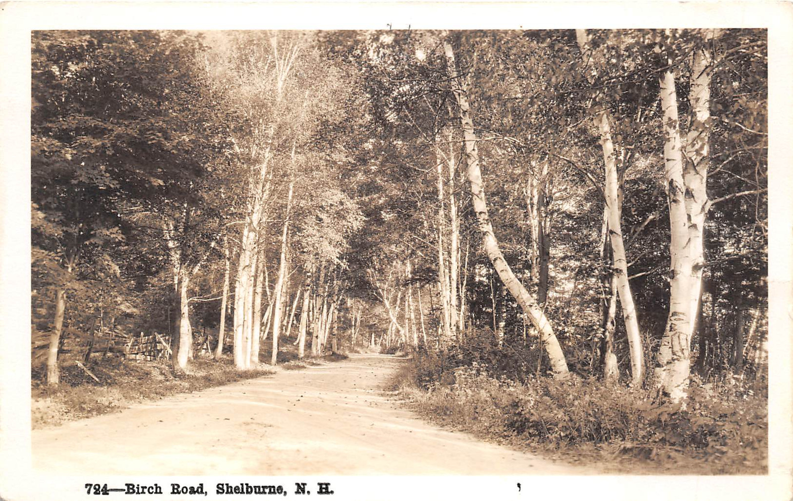 Shelburne New Hampshire 1937 RPPC Real Photo Postcard Birch Road Shelburne New Hampshire 1937 RPPC Real Photo Postcard Birch Road