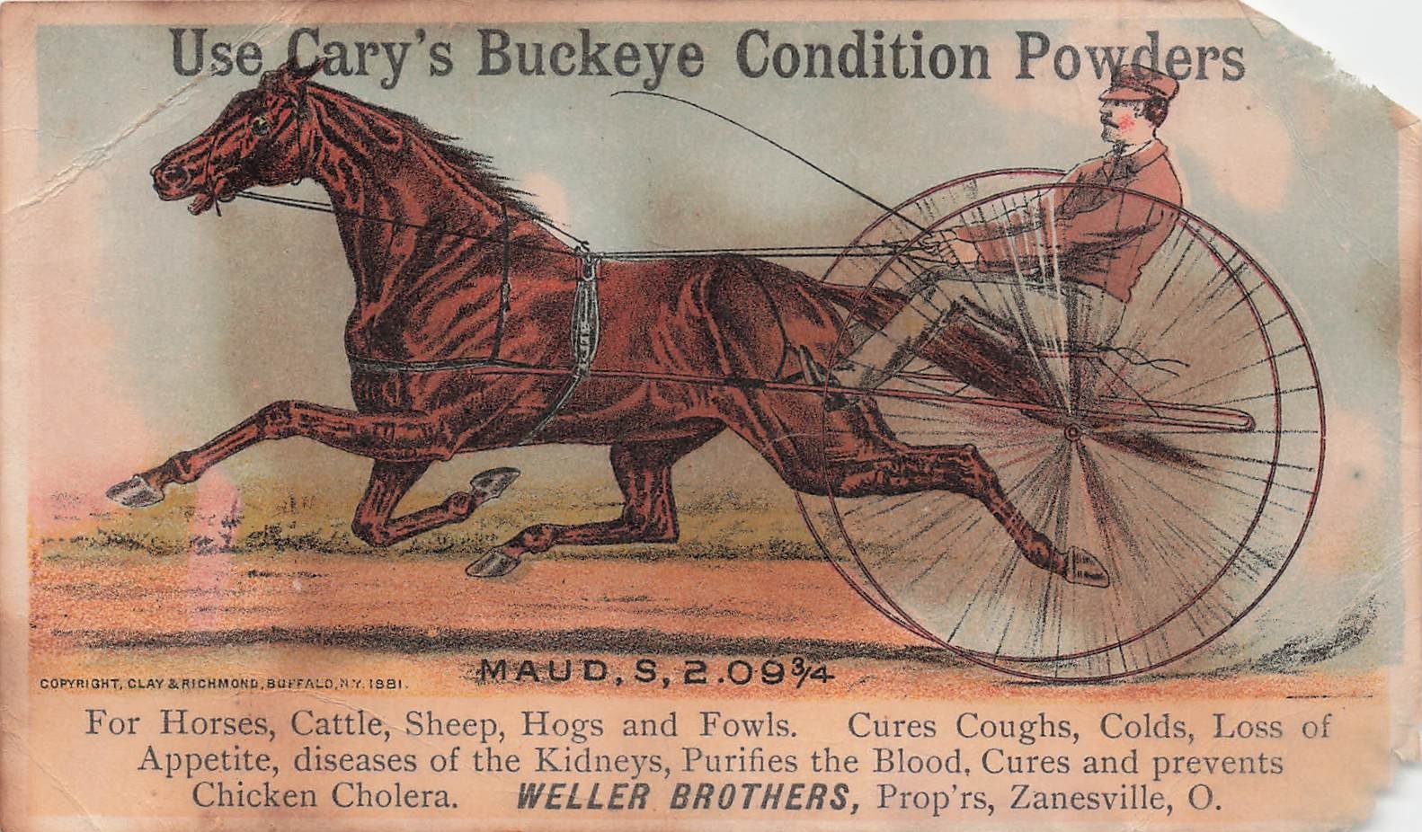 Trotting Queen Maud S. Horse Race Weller Brothers Advertising Trade Card I54