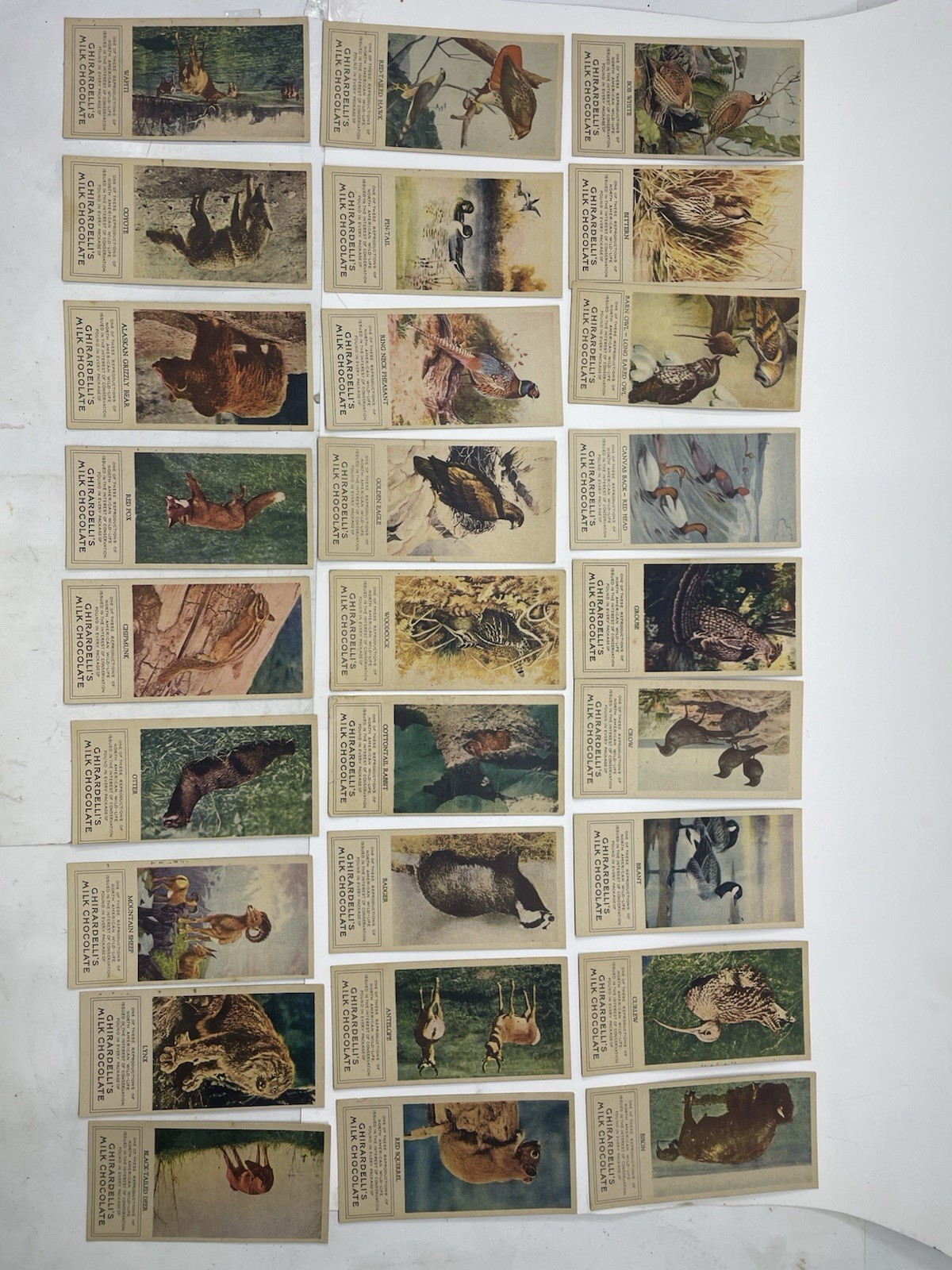 Lot Of 27 Antique 1920s E161 Ghirardelli Chocolate N. American Wildlife Cards