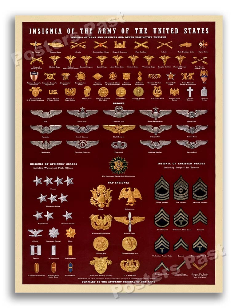 1943 “Insignia of the U.S. Army” Vintage Style WW2 Poster - 18x24 1943 “Insignia of the U.S. Army” Vintage Style WW2 Poster - 18x24