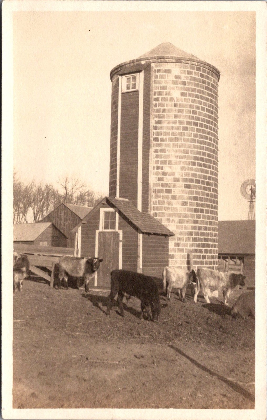 RPPC Farm Cattle Barn and Silo Vintage Postcard 4P24-23 RPPC Farm Cattle Barn and Silo Vintage Postcard 4P24-23