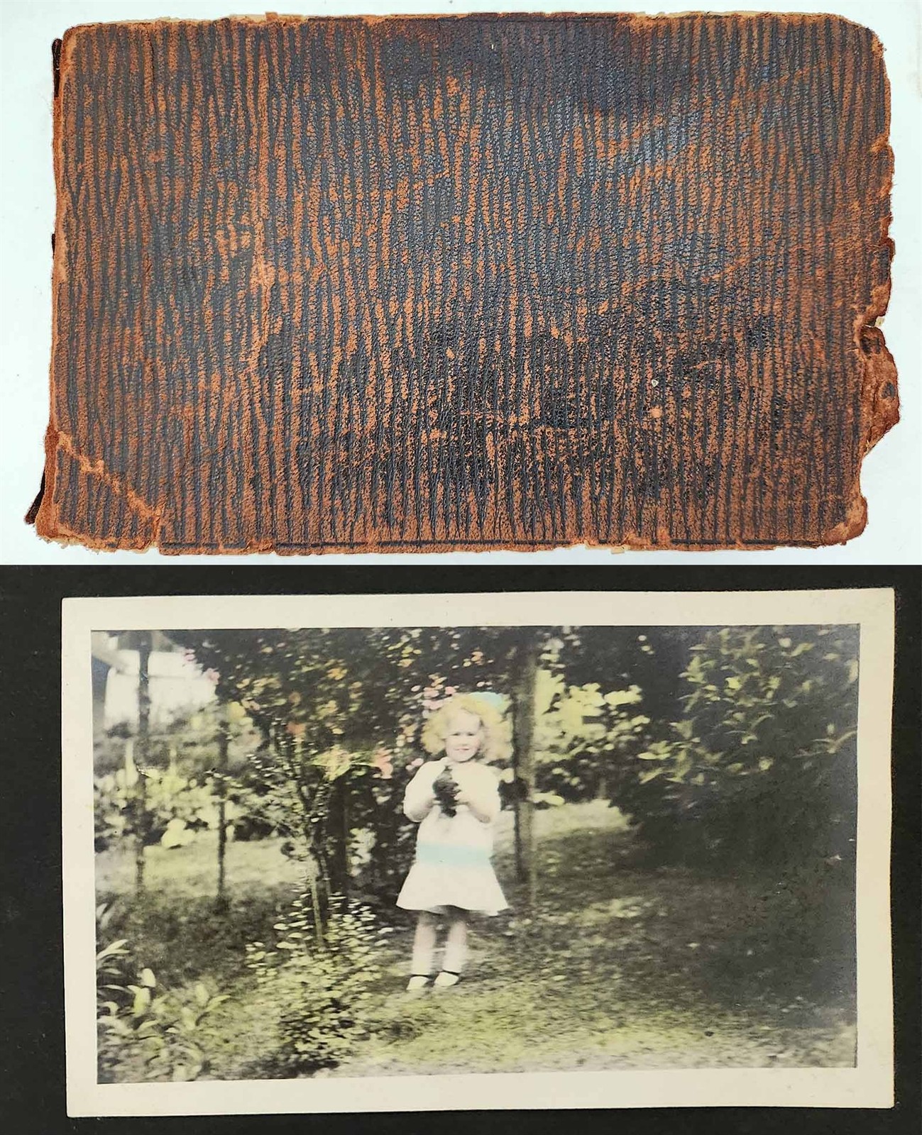 1910s vintage PARSONS FAMILY SNAPSHOT PHOTO ALBUM 150 photos bathing NY?