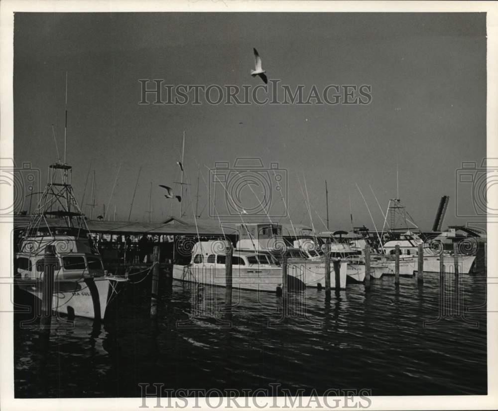 1968 Press Photo Charter Fishing Boats Docked at Fishing Pier 5 - lrx49813 1968 Press Photo Charter Fishing Boats Docked at Fishing Pier 5 - lrx49813