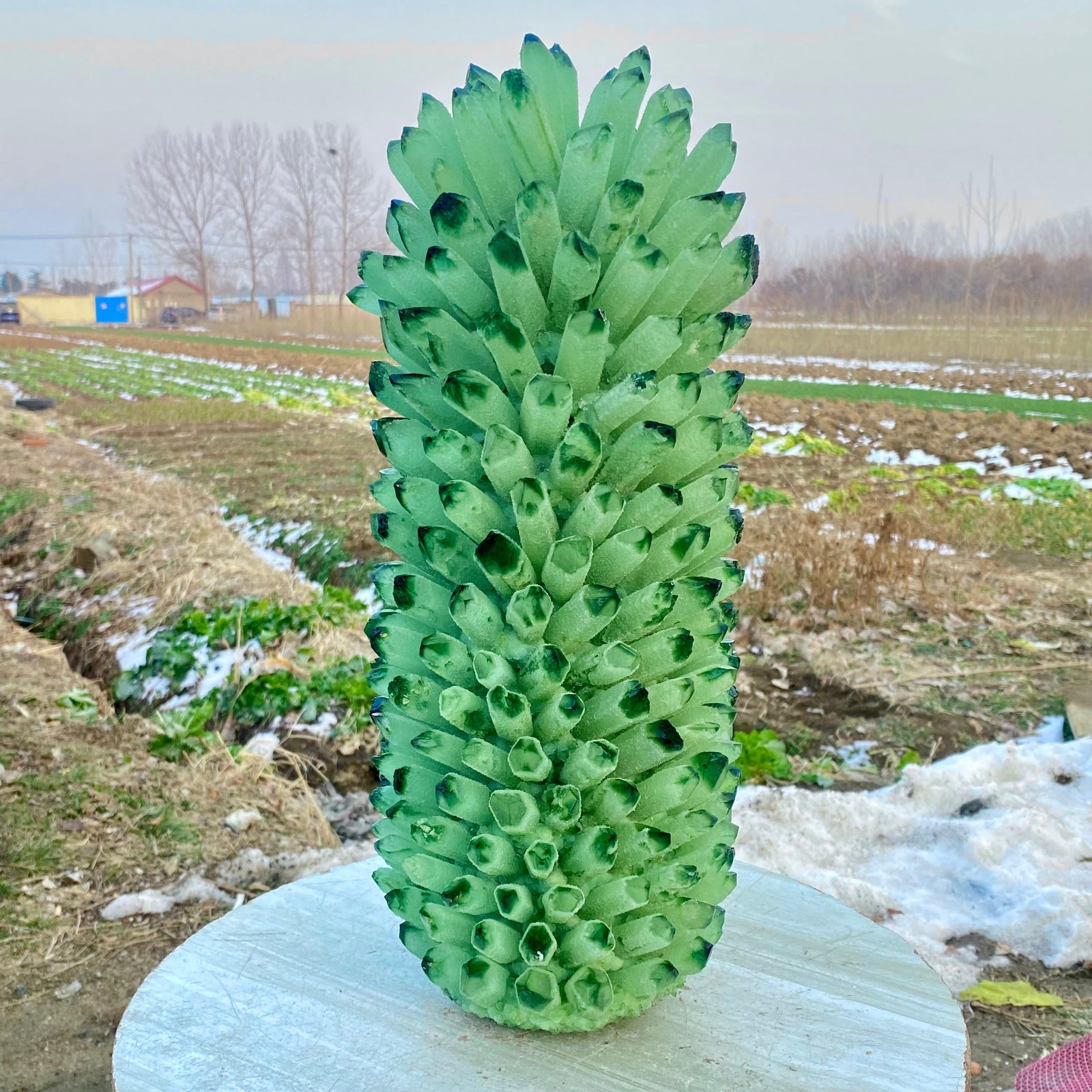 28LB New find green phantom crystal quartz  cluster mineral specimen healing