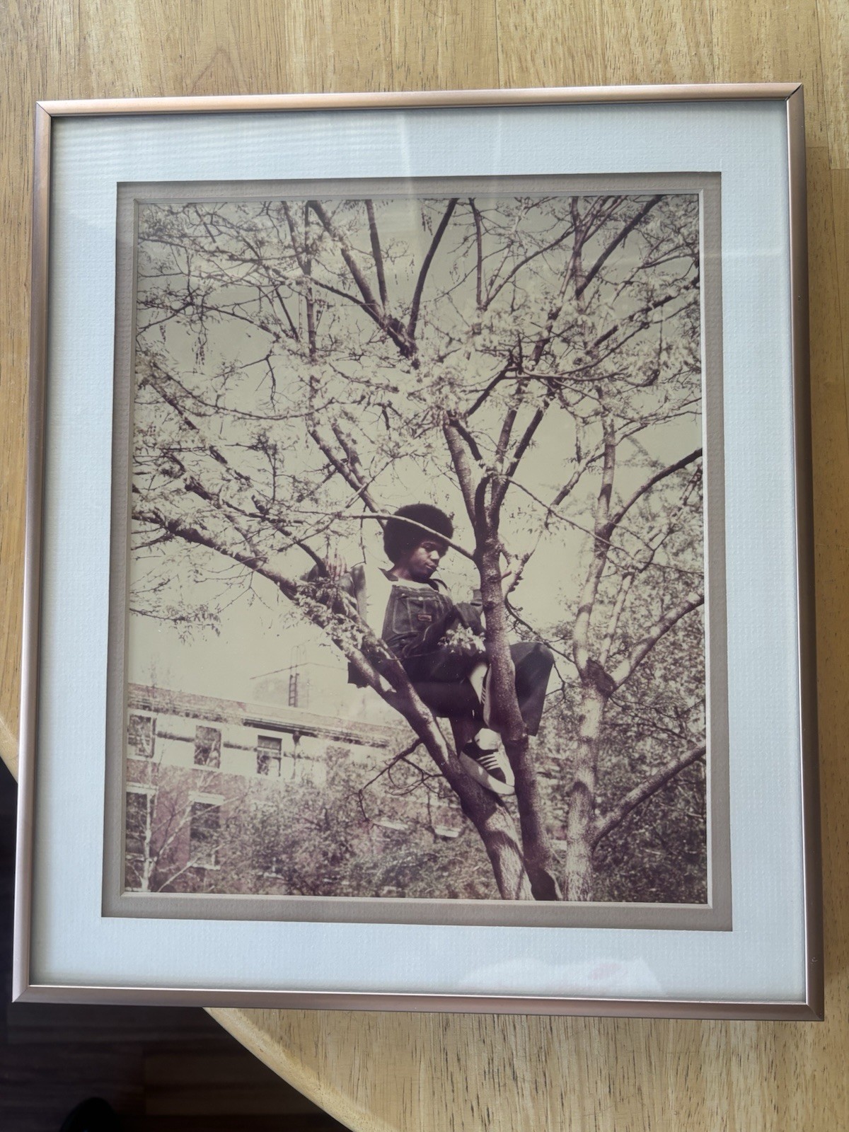 Vintage Young African American Man In a Tree / Artistic Framed Photo, Retro