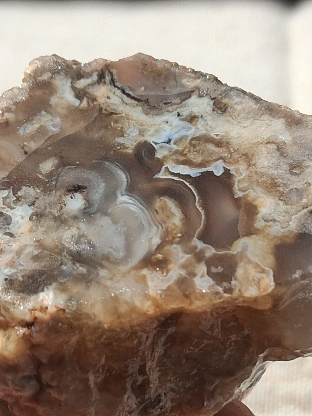 Chalcedony Agate Slab Amazing Fortifications Ready For Display Or Lapidary Chalcedony Agate Slab Amazing Fortifications Ready For Display Or Lapidary