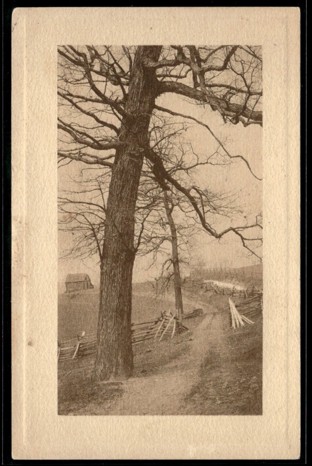 1910 Real Photo Postcard Old Tree & Farm Scene Round Arch Texas Rppc