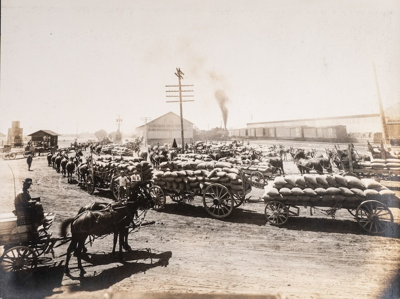 c. 1915 Central Valley of California (Kings County) Agricultural Photo Album