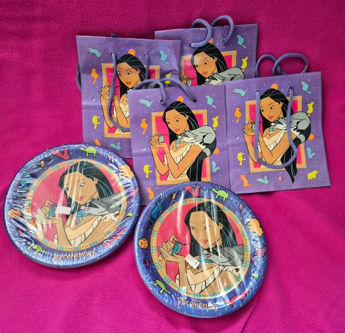 Vintage Disney Movie Pocahontas Gift Bag and Plates Birthday Hallmark Meeko 