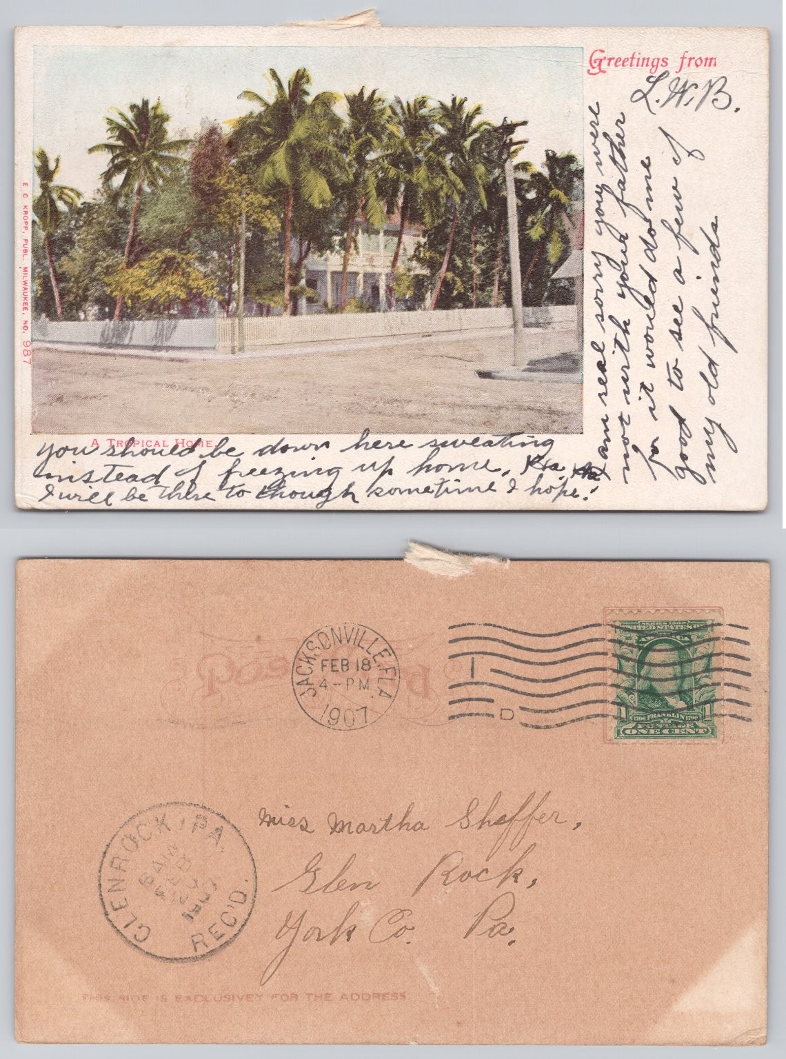 1907 Jacksonville FL A Tropical Home Palm Trees E. C. Kropp Postcard