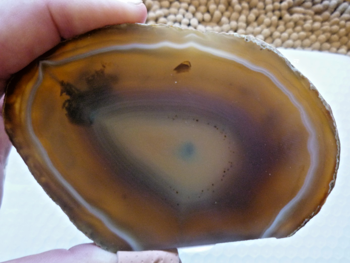 OLD BRAZILIAN AGATE End Cut SLAB UNPOLISHED 8 Ounces 2.5\ OLD BRAZILIAN AGATE End Cut SLAB UNPOLISHED 8 Ounces 2.5\