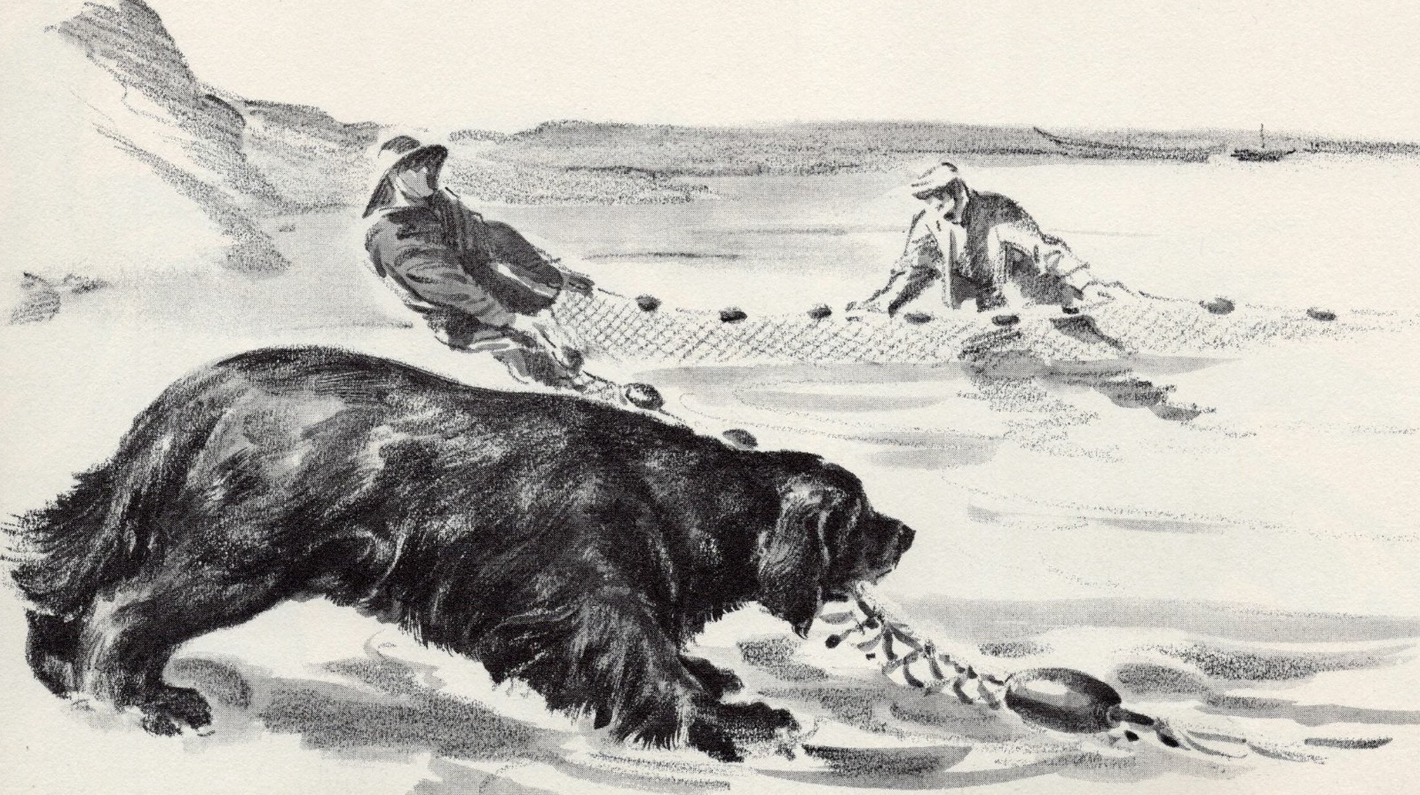 Newfoundland - CUSTOM MATTED - 1954 Vintage Dog Art Print - 0810 Newfoundland - CUSTOM MATTED - 1954 Vintage Dog Art Print - 0810
