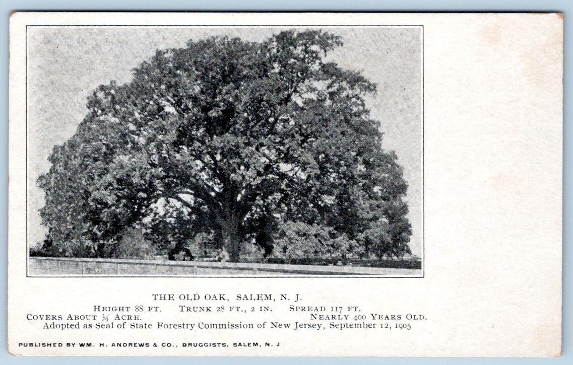 Pre-1907 THE OLD OAK TREE SALEM NEW JERSEY NJ WM ANDREWS & CO DRUGGISTS POSTCARD Pre-1907 THE OLD OAK TREE SALEM NEW JERSEY NJ WM ANDREWS & CO DRUGGISTS POSTCARD