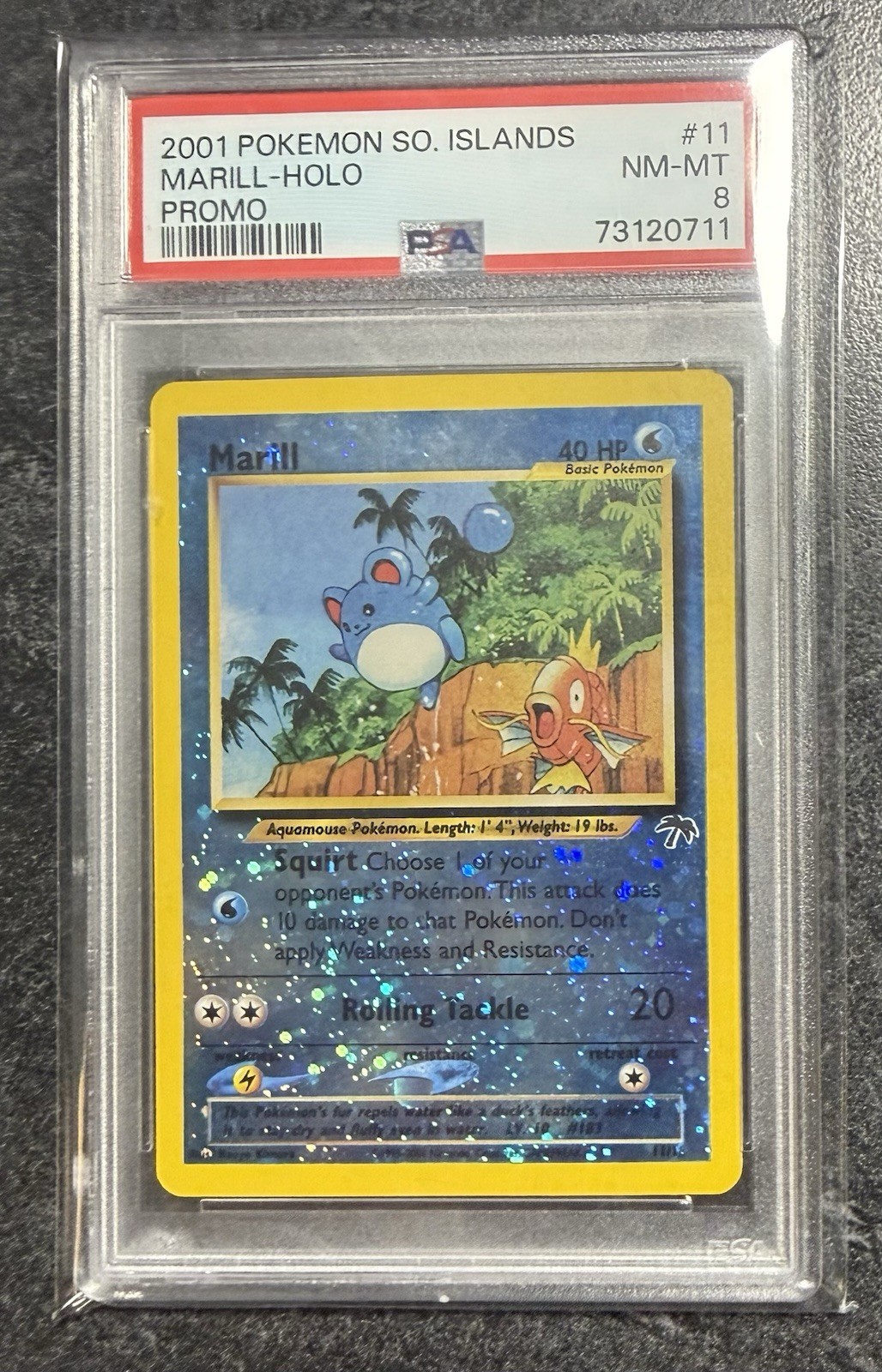 2001 Pokemon Southern Islands Promo Marill Holo PSA 8 #11/18 2001 Pokemon Southern Islands Promo Marill Holo PSA 8 #11/18