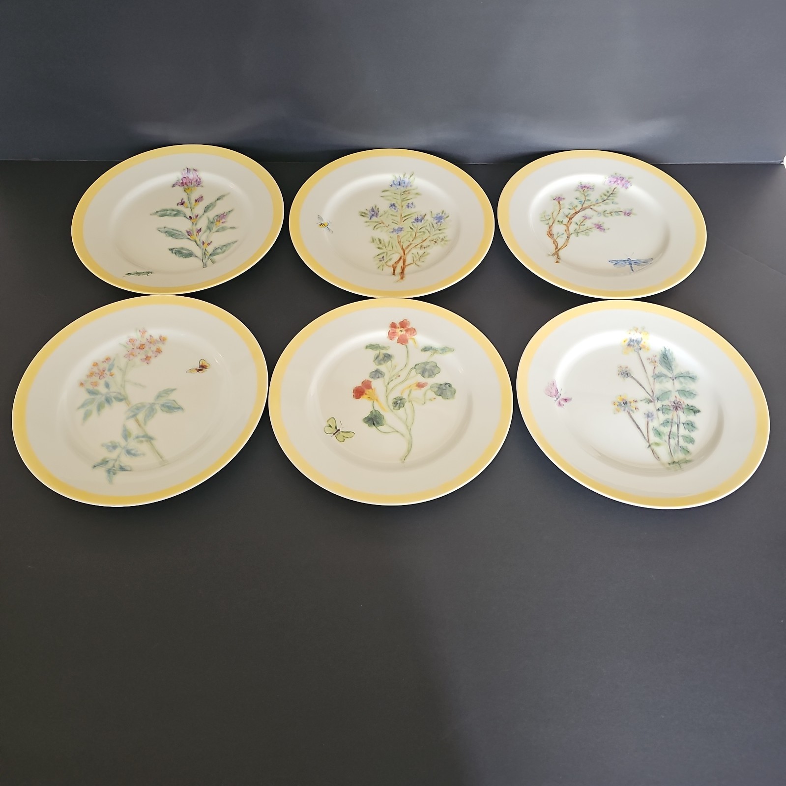 Williams Sonoma Flowering Herbs Set of 6 Botanical Floral Plates Made in Japan Williams Sonoma Flowering Herbs Set of 6 Botanical Floral Plates Made in Japan
