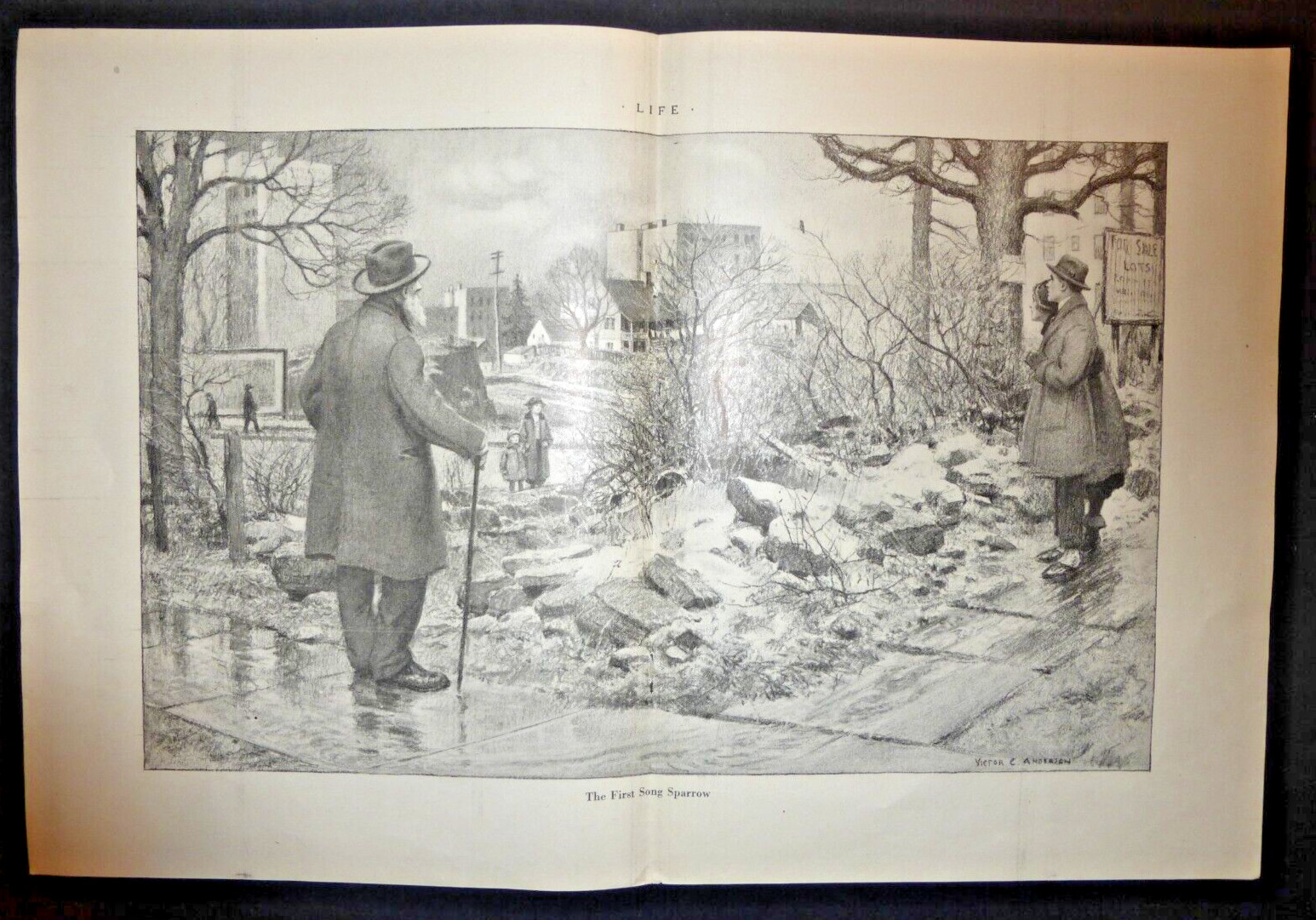 1923 LIFE Magazine VTG Print-Ad The First Song Sparrow Victor C. Anderson 2 Pg 1923 LIFE Magazine VTG Print-Ad The First Song Sparrow Victor C. Anderson 2 Pg
